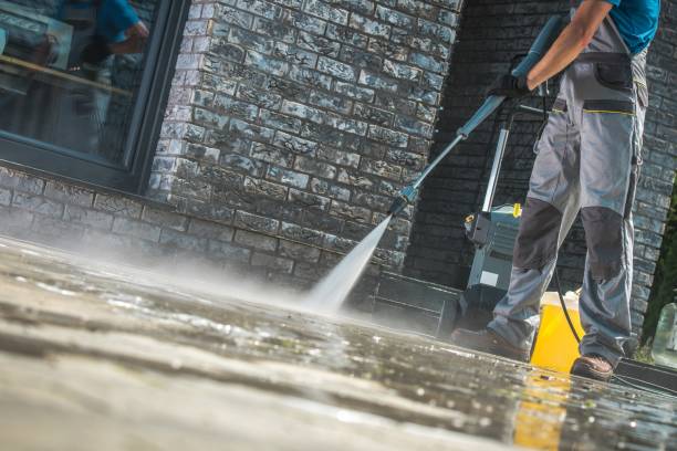 Best Soft Washing  in Pontoon Beach, IL